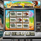 Safari Madness